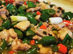 -青城甲(青城山店)