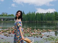 -白鹭湾湿地公园