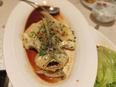 -维园悦谱·海派家常菜(乌鲁木齐南路店)