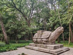 -灵谷景区