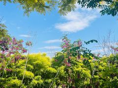 -天津东丽湖风景区