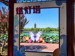 -西海子公园