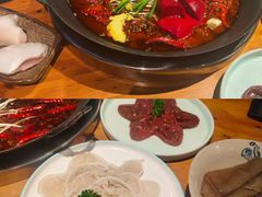 -成都动物园