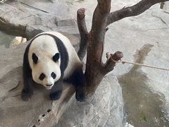 -宁波野生动物园