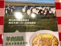 -西贝(宝乐汇店)