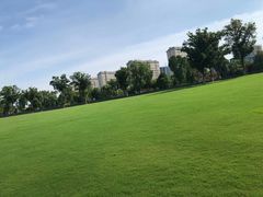-九科绿洲