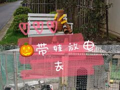 -前小桔亲子创意农场·草莓采摘·露营烧烤