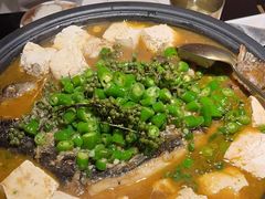 -探鱼·鲜青椒爽麻烤鱼(领展购物广场店)
