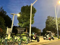 -皇粮浜湿地公园