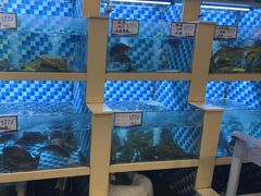 -野渡坡·极致湘菜·庭院餐厅(汉阳店)
