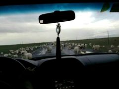 -青海湖国家重点风景名胜区