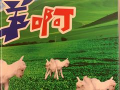 -猪啊牛呀羊啊铜盘烤肉(正大广场店)