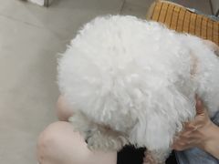 -佳雯宠物医院·皮肤科·内外科(春晓路分院)