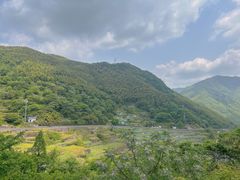 -四明山国家森林公园