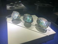 -贝壳王国博物馆