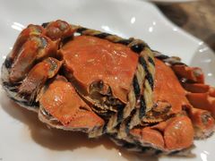 -赤甲皇(仙霞路店)
