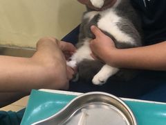 -美迦爱-牙专科·兔科·骨科诊疗中心(北苑店)