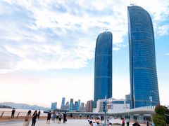 -演武大桥观景平台