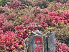 -木兰云雾山