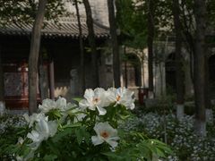 -西安关中民俗艺术博物院