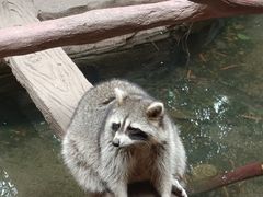 -长鹿旅游休博园