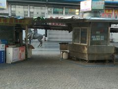 -天津洋货市场