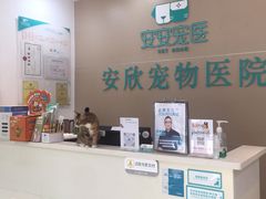 -安安宠医安欣宠物医院