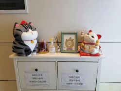-春田皮肤管理中心品牌旗舰店