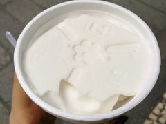 -洪馨椰子