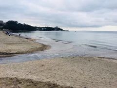 -Takapuna Beach Cafe