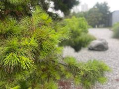 -徐记海鲜(大明宫|北二环店)