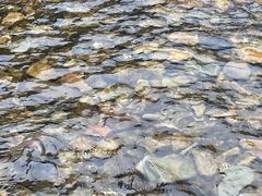-水墨汀溪风景区