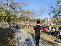 -风云岭森林公园