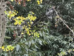 -宝界山林公园