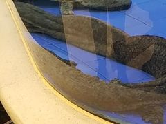 -友鹏海鲜(新宜白大道店)