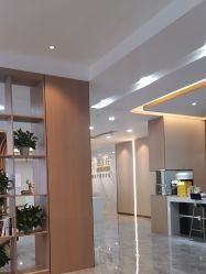 -碧莲盛·不剃发植发