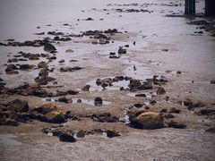 -滨江公园-停车场