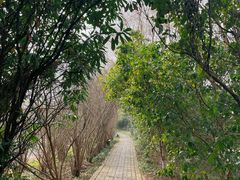 -苏州太湖国家湿地公园