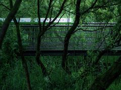 -西湖风景区-江洋畈生态公园