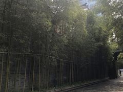 -龙潭水乡