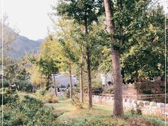 -木兰云雾山