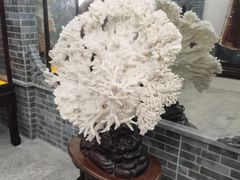 -游龙石文化科普馆
