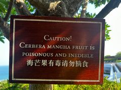 -瑰丽酒店·海吧·天际下午茶·现场DJ·天台酒吧