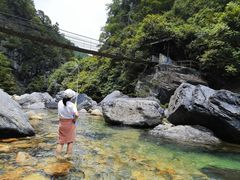 -石台牯牛降景区