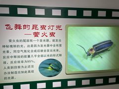 -上海昆虫博物馆