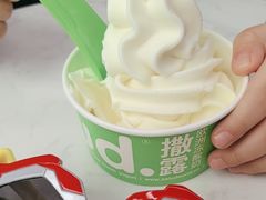 -Salud撒露欧洲冻酸奶(五道口购物中心店)
