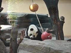 -宁波野生动物园