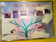 -上海昆虫博物馆