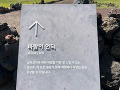 -涉地可支