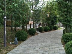 -崇阳三特浪口温泉